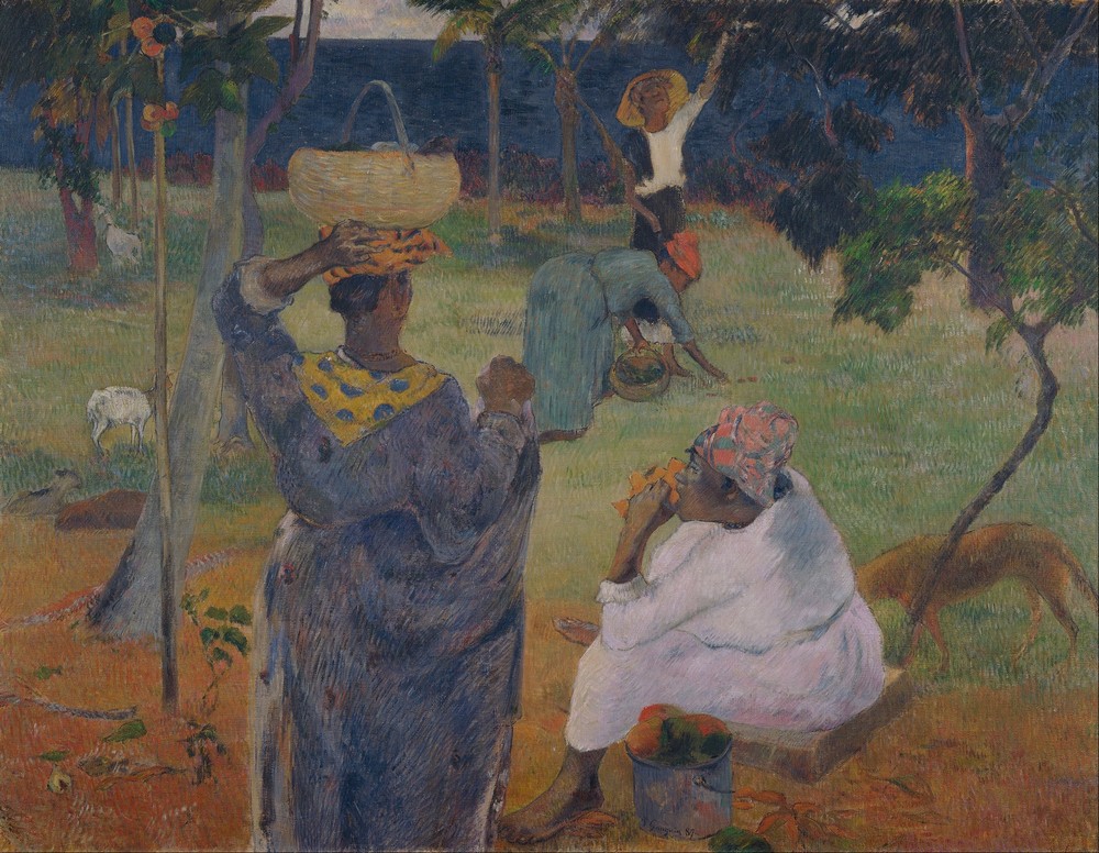 Among the mangoes at Martinique