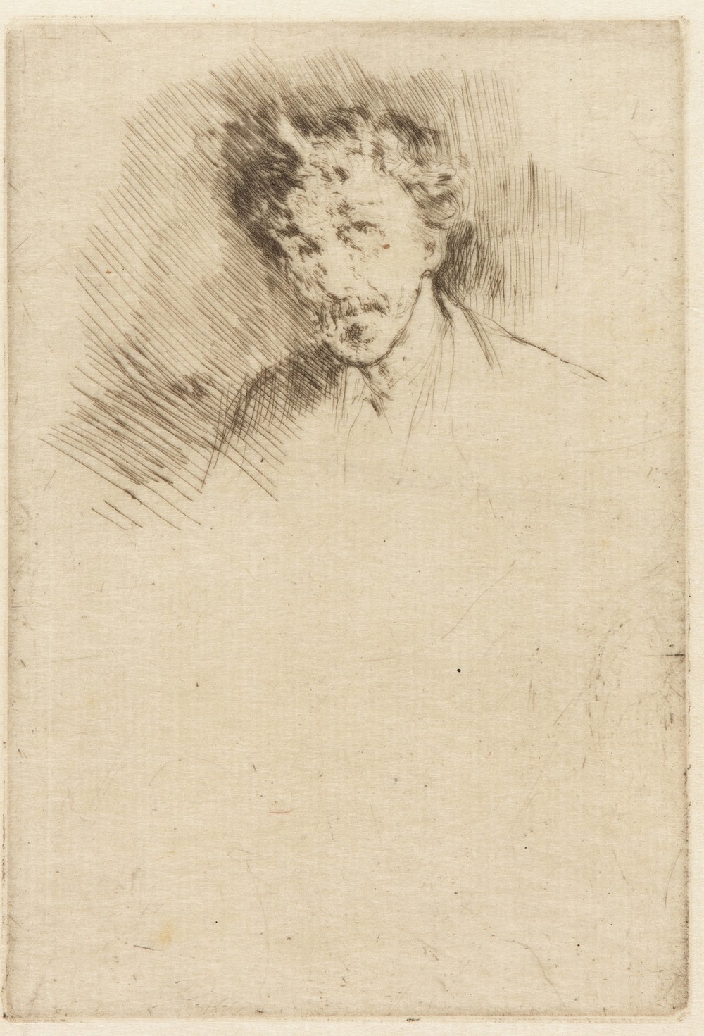 Whistler with the White Lock