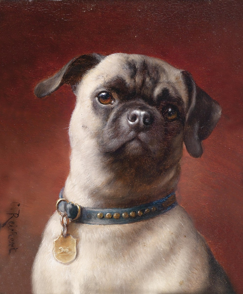 Mops