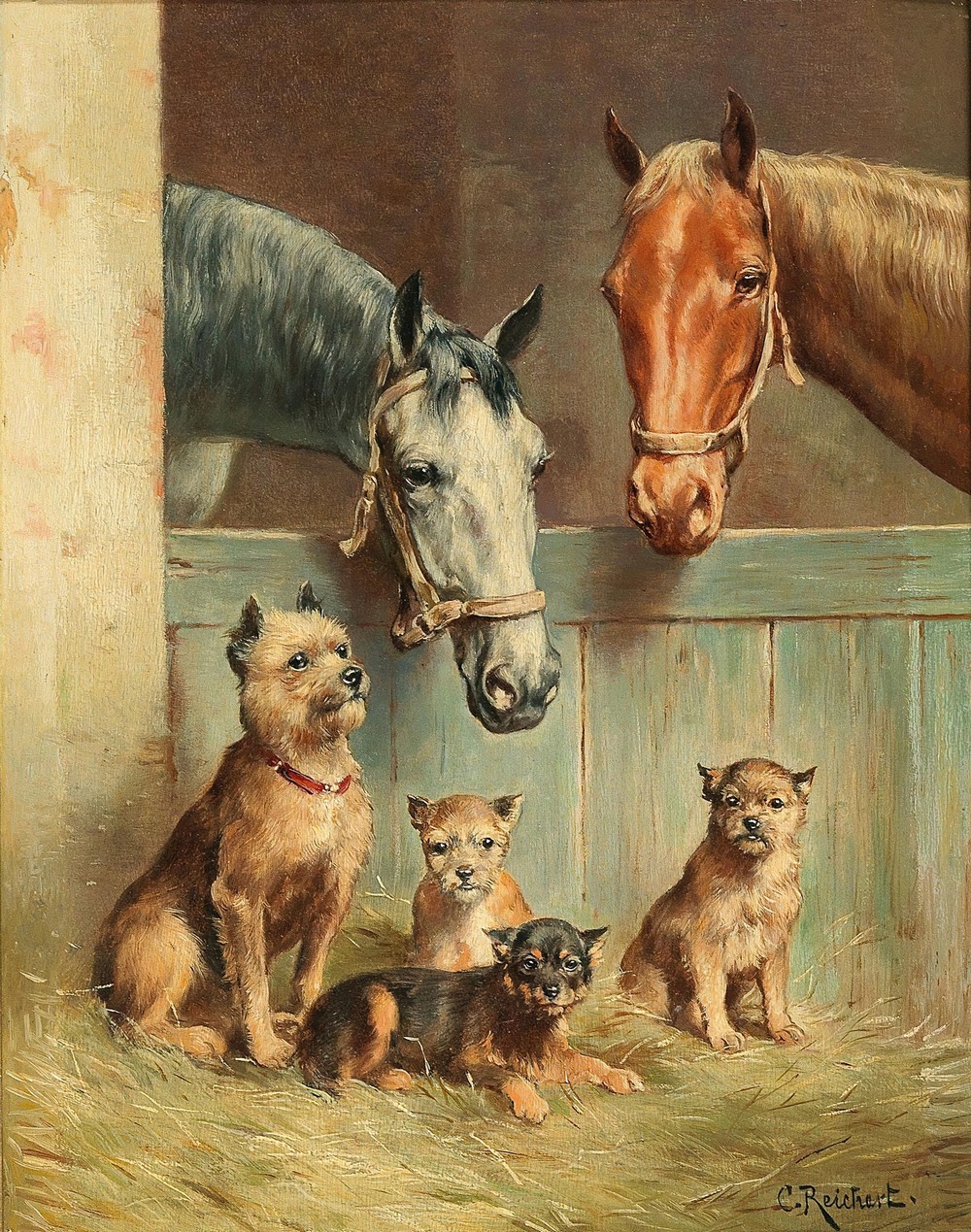 Animal Friendship