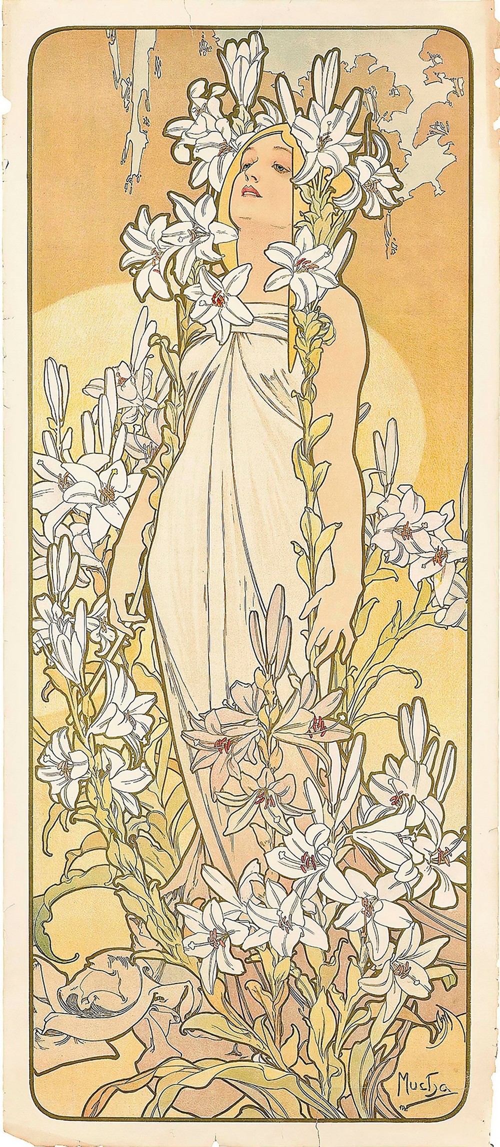 The Lily