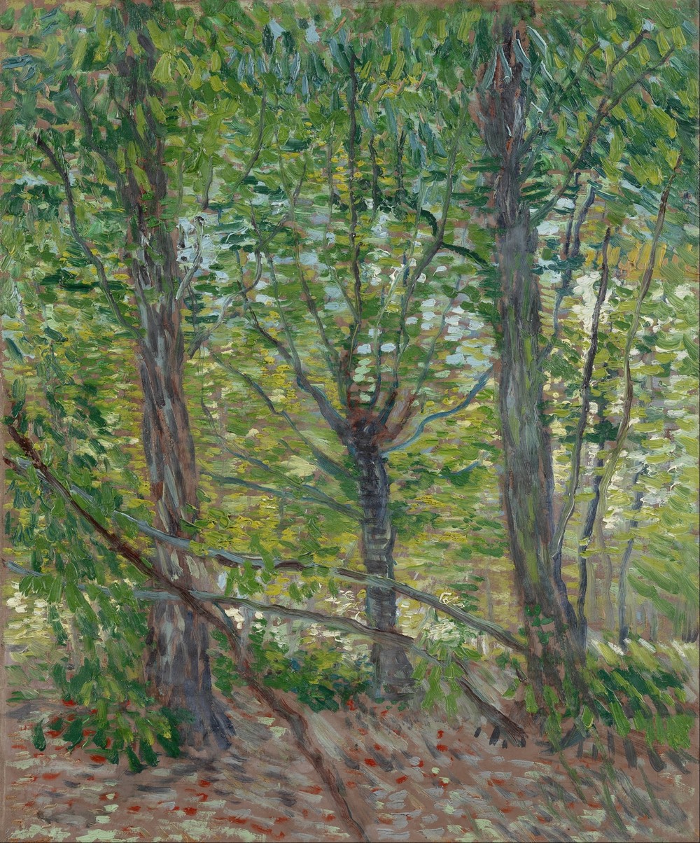 Trees