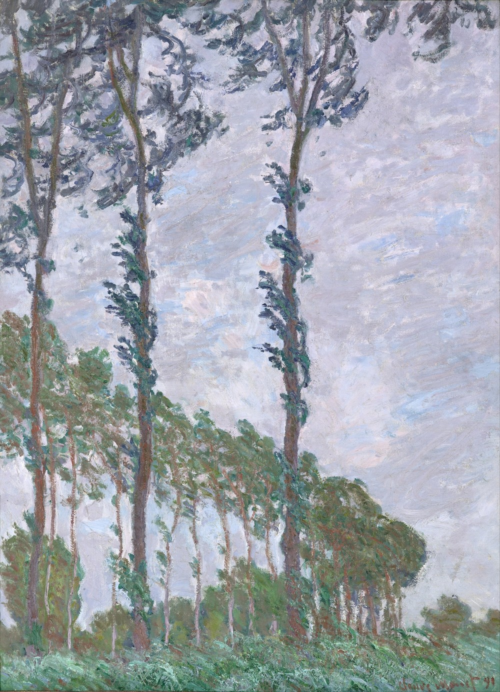 Wind Effect, Series of The Poplars