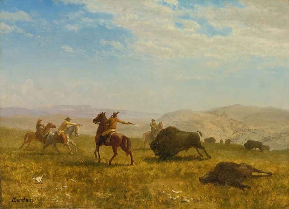 The Wild West