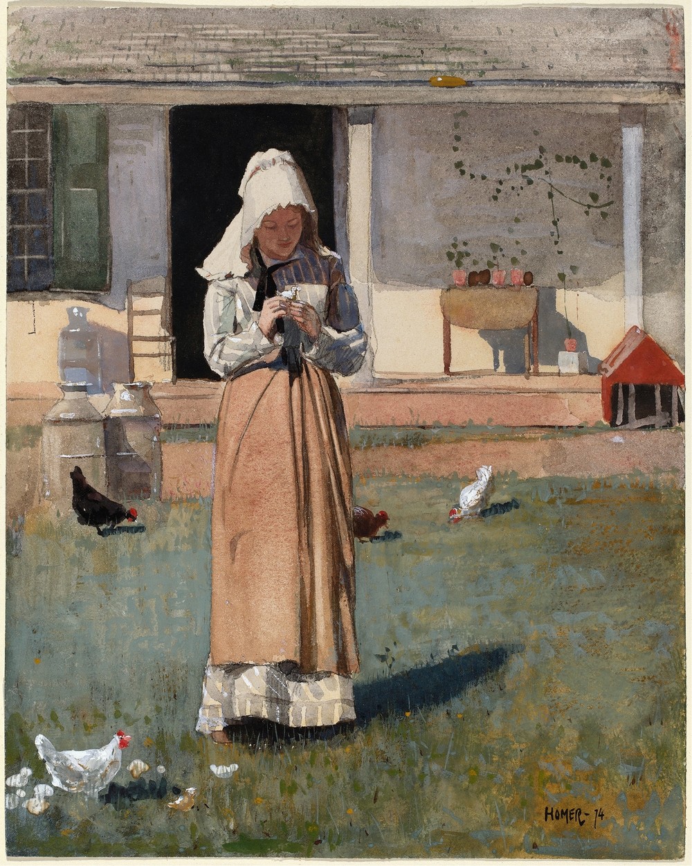 A Sick Chicken