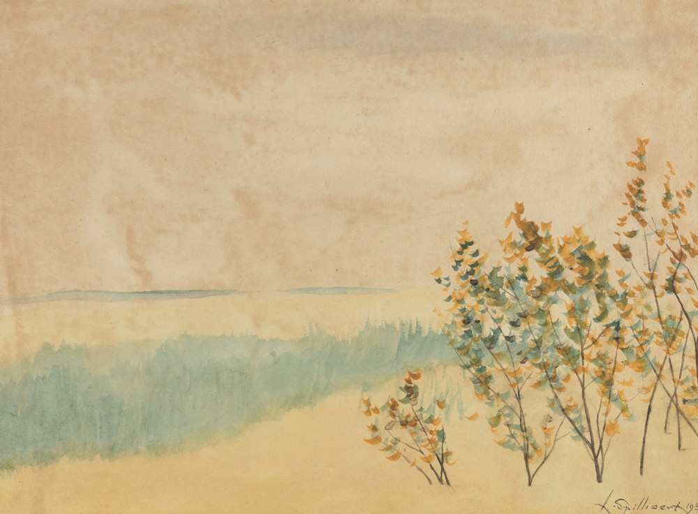 Landschap