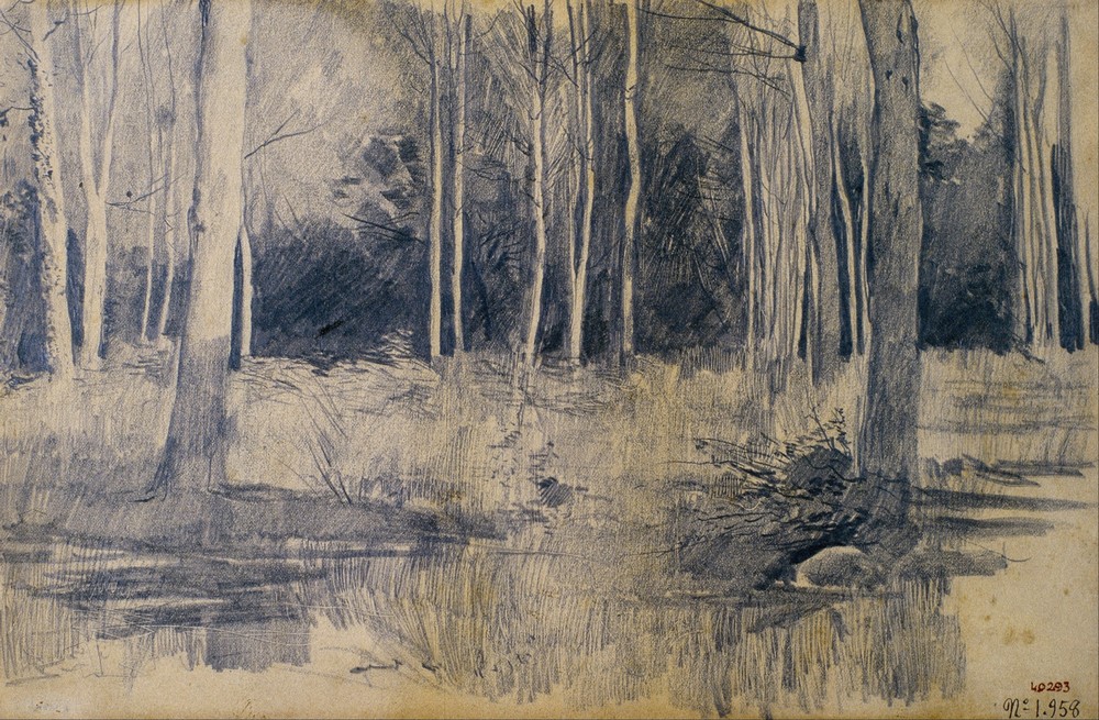 Grove