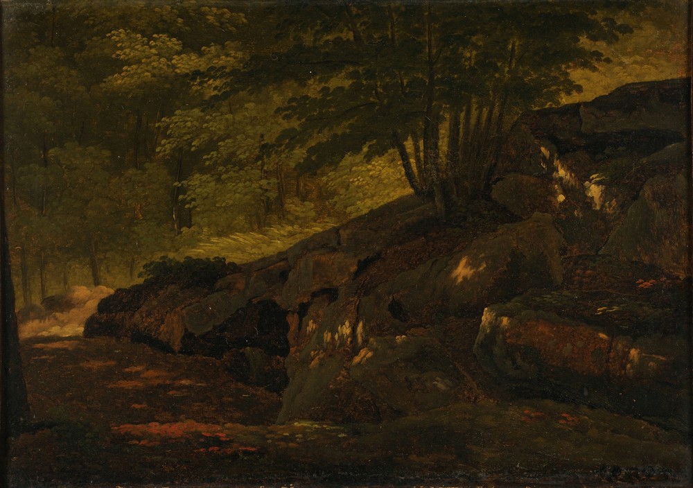 Sous-bois