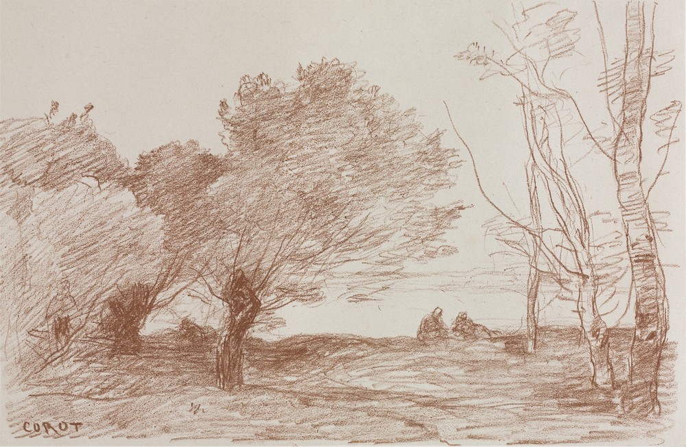 Willows and Poplars