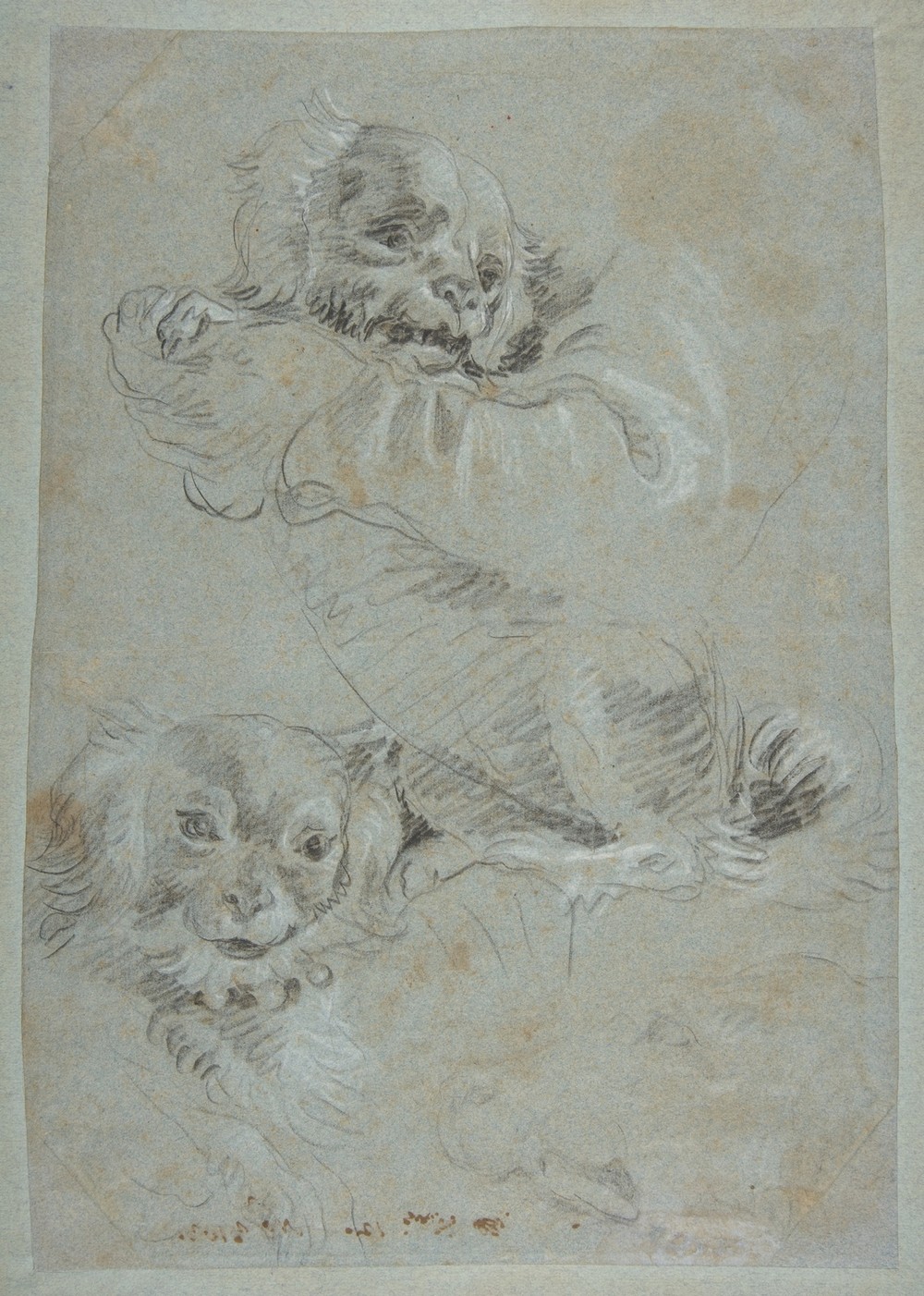 Three Dogs
